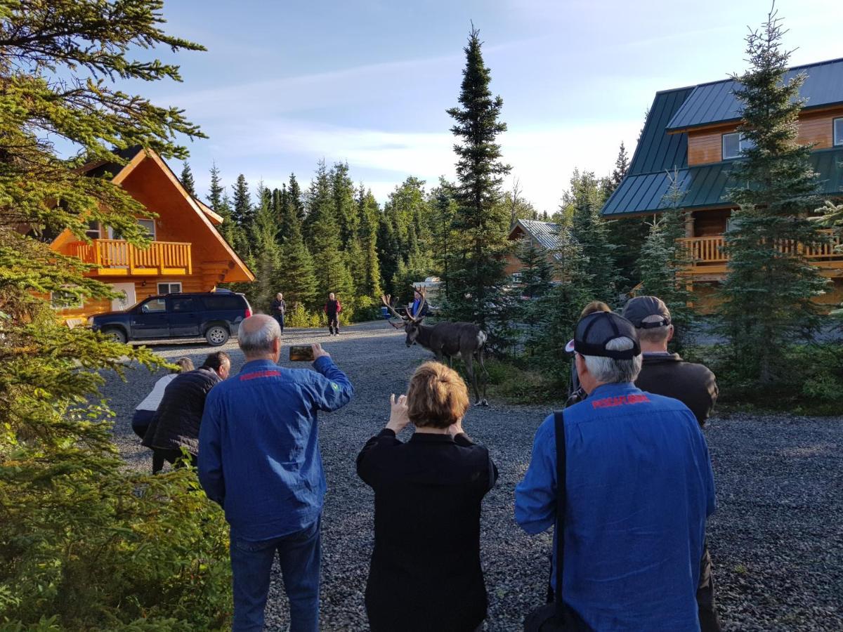 Salmon Catcher Lodge Kenai Extérieur photo